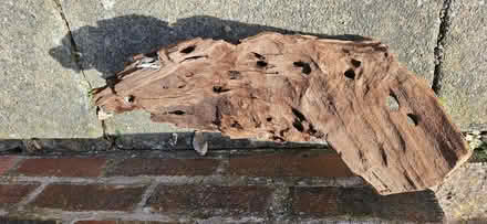 Photo of free Aquarium decorative driftwood approx 45Wx29H (Thornton FY5) #2