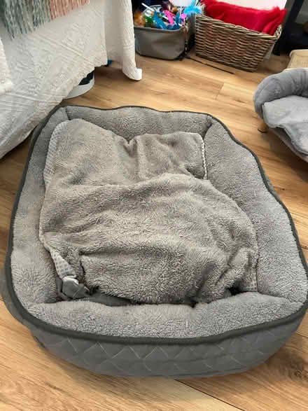 Photo of free Dog bed small/meduim size (Surbiton KT6) #1