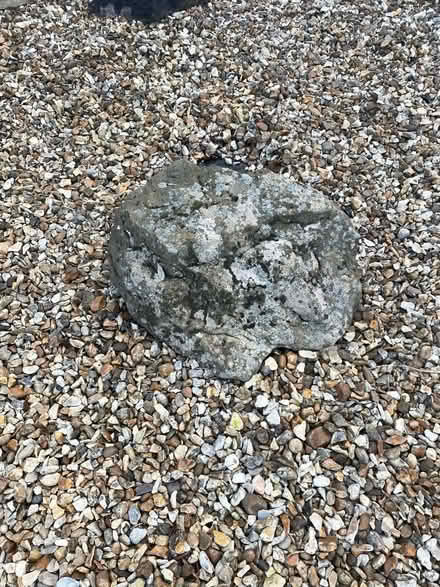Photo of free Rockery stones (Fawdon NE3) #4