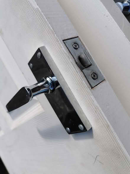 Photo of free Doors - x8 internal/x1 external (Norton LD8) #3