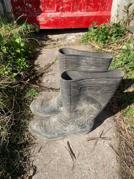 Photo of free Wellies size 11 (Sizergh LA8) #1