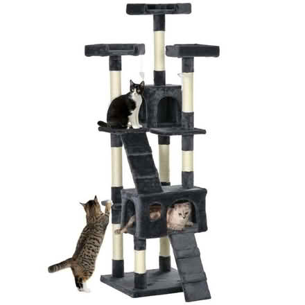Photo of free Pawhut Cat Tree 173h x 49l x 49w (Tredworth GL1) #4