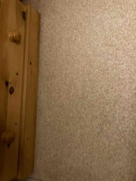 Photo of free Beige carpet (Wheatley OX33) #4