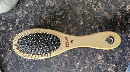 Photo of free Pet brush (B13, Billesley) #1