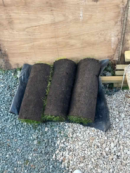 Photo of free Turf (OX14 Sutton Courtney) #1