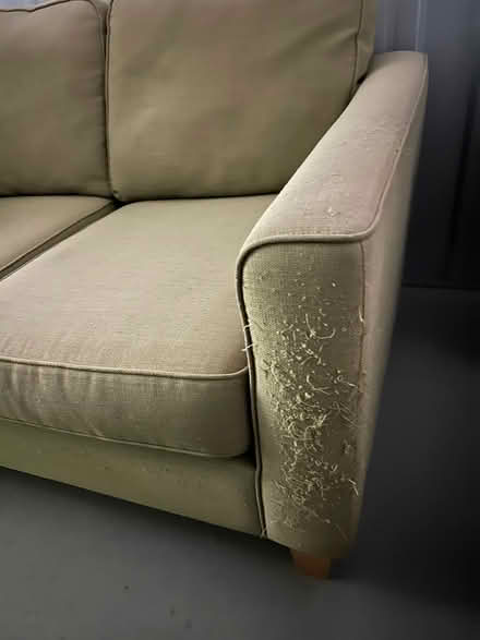 Photo of free 2-seater sofa (Shoreham-by-Sea BN43) #3