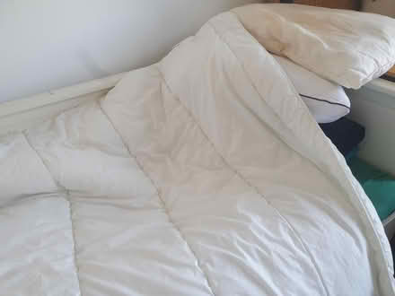 Photo of free single duvet (G42) #3