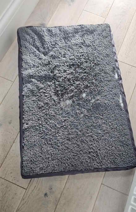 Photo of free Dog beds (B13, Billesley) #4