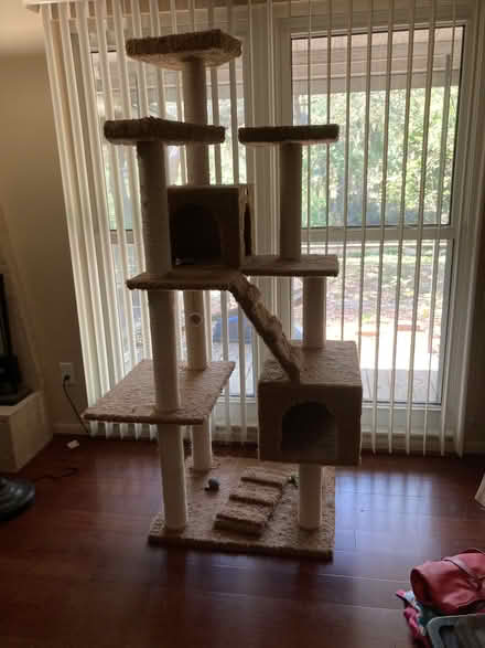 Photo of free Cat Tree (Town and Country) #1