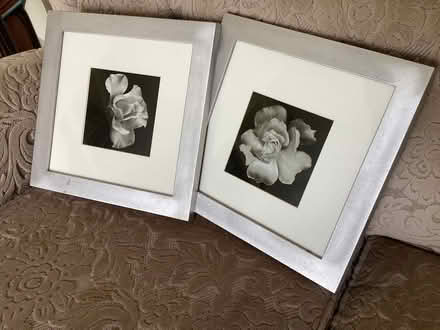 Photo of free Two lovely black & white photos. (Street BA16) #1
