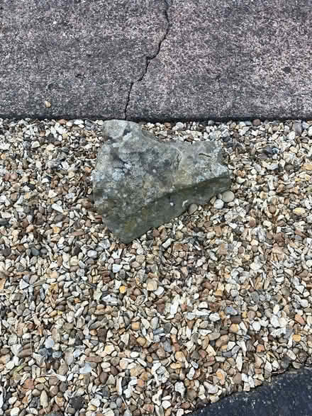 Photo of free Rockery stones (Fawdon NE3) #2