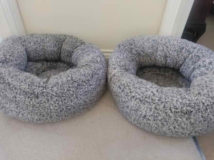 Photo of free Small dog/ cat bed (Rothley) #1