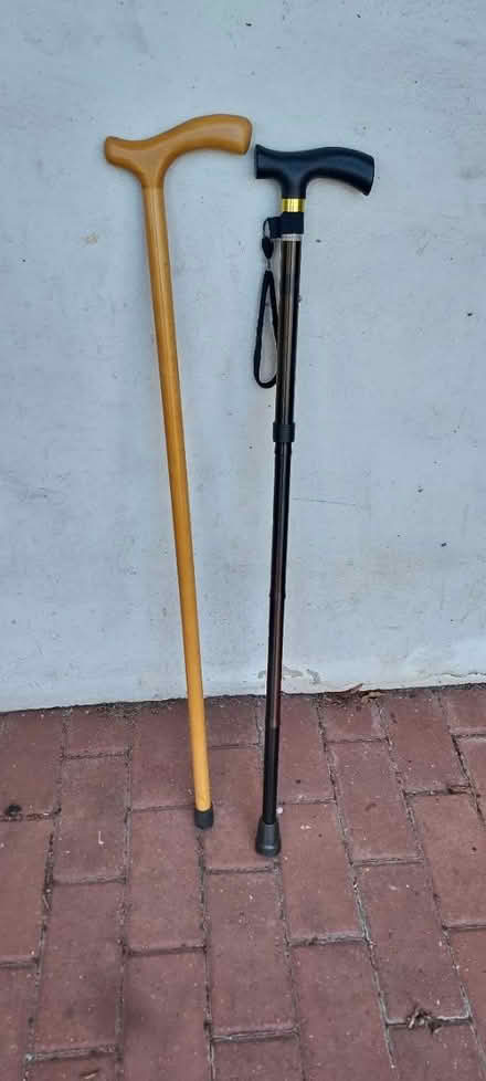 Photo of free Walking sticks (Tonbridge) #1