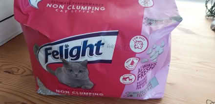 Photo of free Felight non clumping cat litter 10L bag (St Leonards TN38) #1