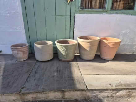 Photo of free Assorted plant pots (TW2) #1
