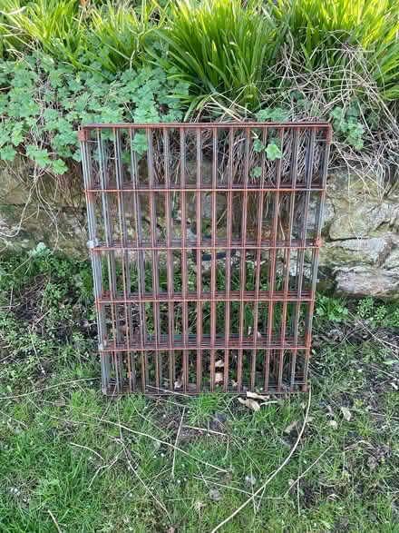 Photo of free Rabbit run (Freehold LA1) #1