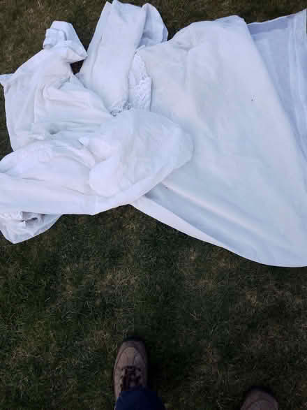 Photo of free Old net curtains ,used over ripening soft fruit (Penn Hill BH14) #1
