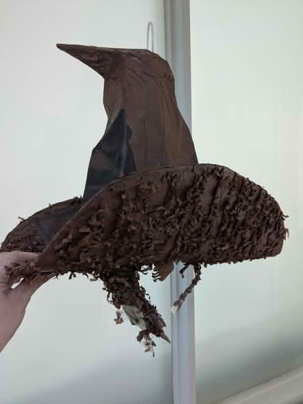Photo of free Sorting hat piñata (M33) #1
