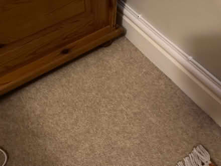 Photo of free Beige carpet (Wheatley OX33) #2