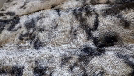 Photo of free Rug (Calow S44) #2