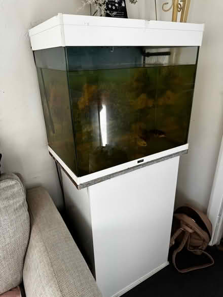Photo of free Fish tank (Hadlow) #2