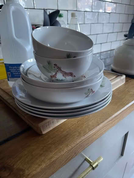Photo of free Giraffe plates (Leyton) #1