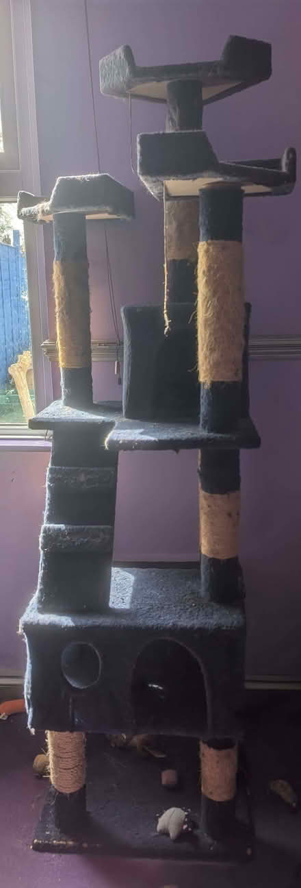 Photo of free Pawhut Cat Tree 173h x 49l x 49w (Tredworth GL1) #1