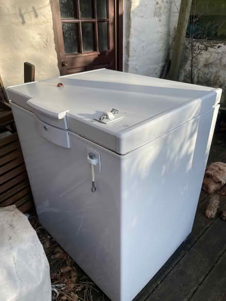 Photo of free Bekow chest freezer (Freehold LA1) #1