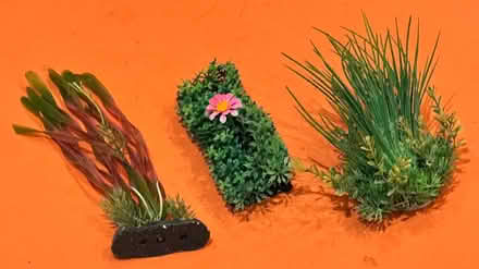 Photo of free Aquarium Plastic Plants (Lower Sunbury) #1