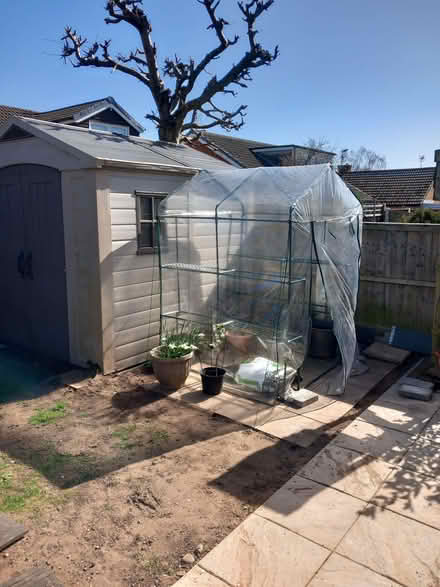 Photo of free Plastic temporary greenhouse (Aspley NG8) #1