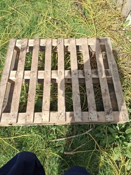 Photo of free Wooden pallet (Hassocks) #1