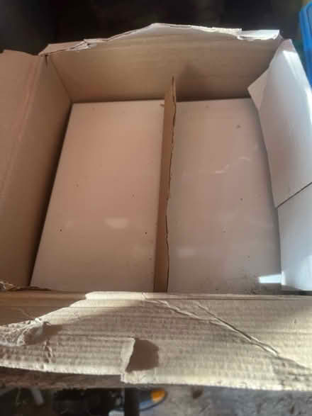 Photo of free White tiles (Brentwood CM13) #1