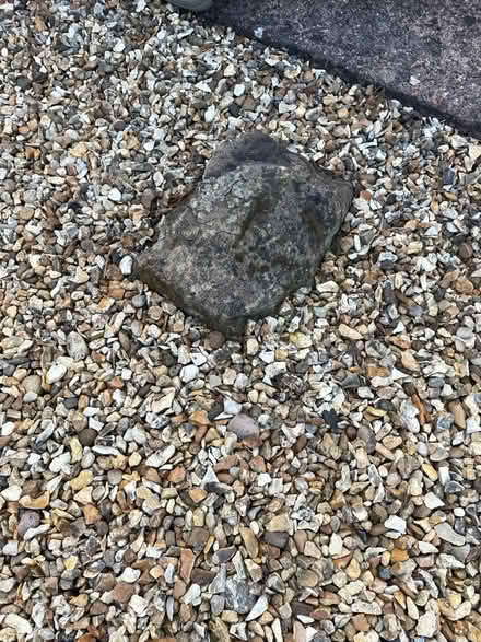 Photo of free Rockery stones (Fawdon NE3) #3