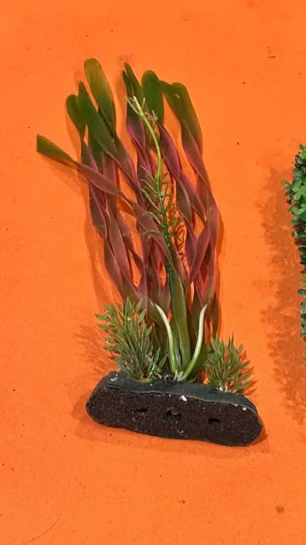 Photo of free Aquarium Plastic Plants (Lower Sunbury) #4