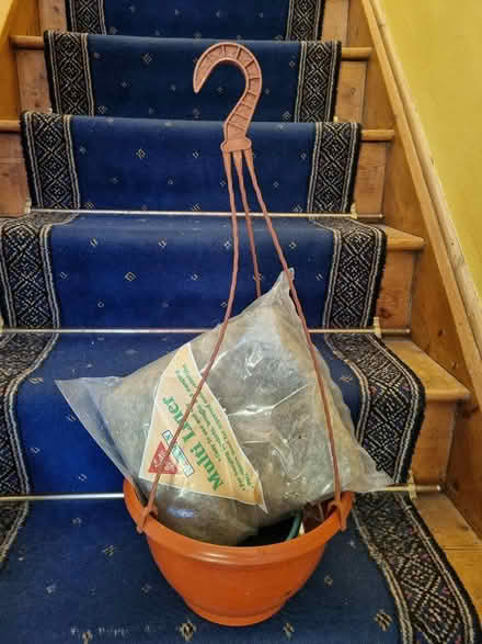 Photo of free hanging basket (CM2 springfield, chelmsford) #2
