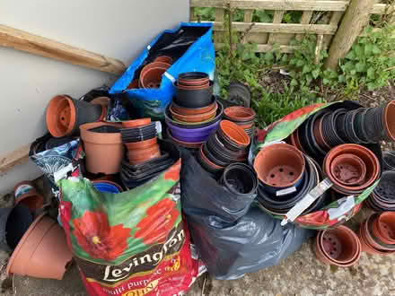Photo of free 4 bags of assorted plastic plant pots (Penyffordd CH4) #3