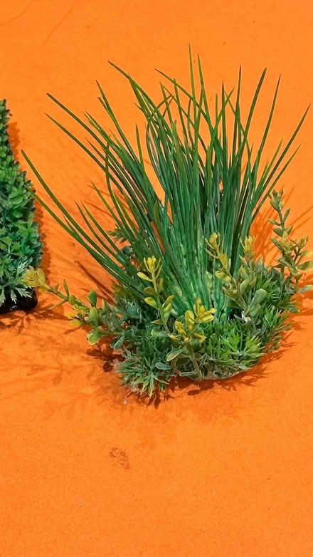 Photo of free Aquarium Plastic Plants (Lower Sunbury) #2