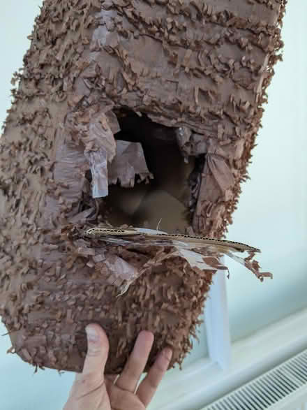 Photo of free Sorting hat piñata (M33) #2