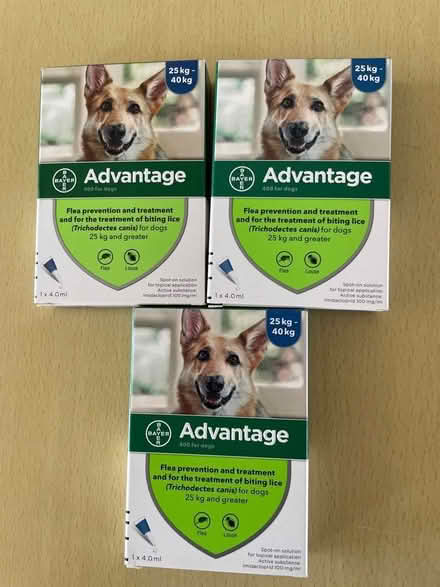Photo of free Advantage 400 for dogs (Rayner's Lane HA2) #1