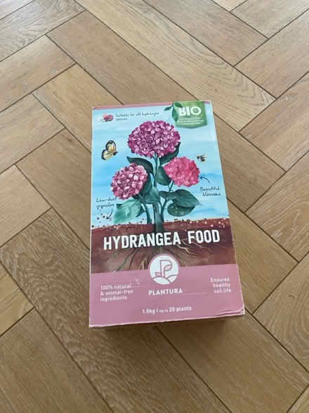 Photo of free Hydrangea Food (Westminster) #1