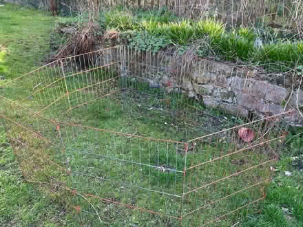 Photo of free Rabbit run (Freehold LA1) #2