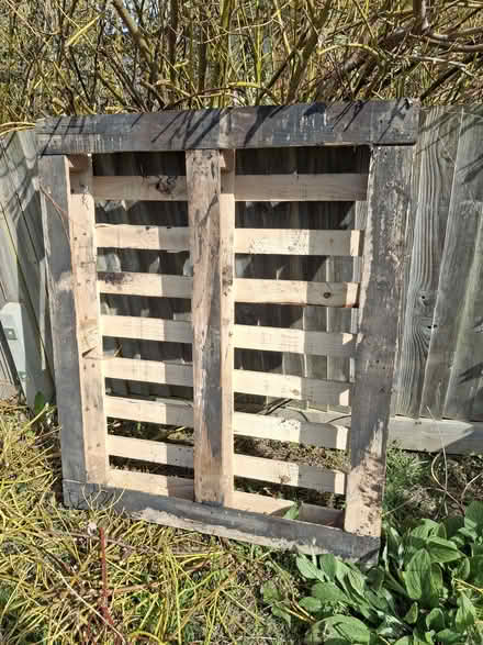 Photo of free Wooden pallet (Hassocks) #2