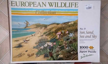 Photo of free 4 1000 puzzle (Birmingham B9 5LB) #3