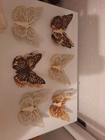 Photo of free Metal butterflies (Forestgreen) #1