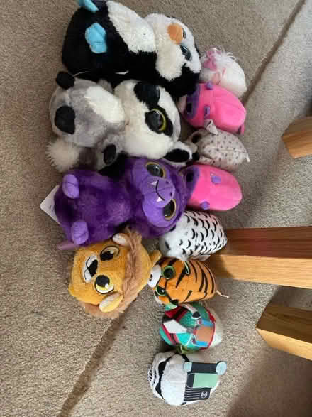 Photo of free Ty beanies (Hersham KT12) #1
