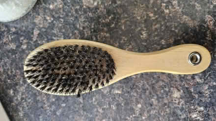 Photo of free Pet brush (B13, Billesley) #2