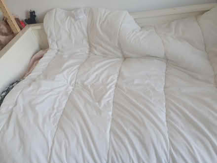 Photo of free single duvet (G42) #2