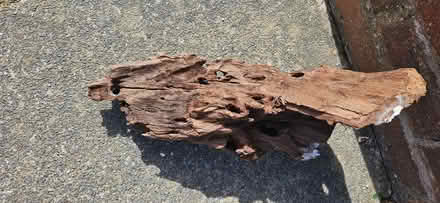 Photo of free Aquarium decorative driftwood approx 45Wx29H (Thornton FY5) #4