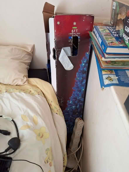 Photo of free 6ft Christmas tree (Wolverham CH65) #1