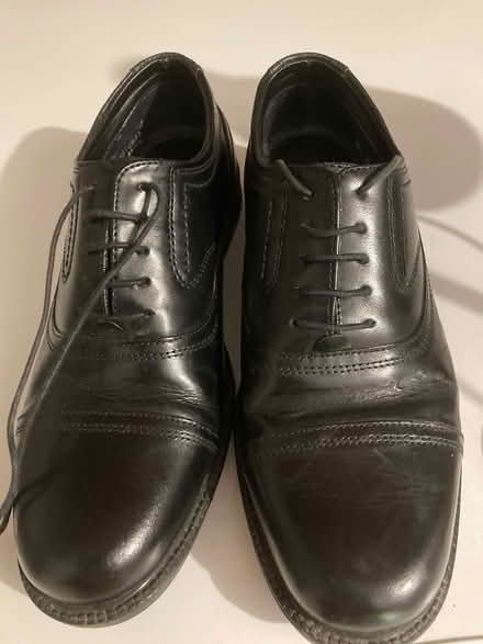 Photo of free Size 41 (7) (Madeley TF7) #1